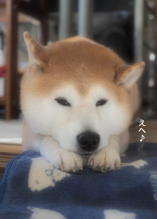 14日ブログ２