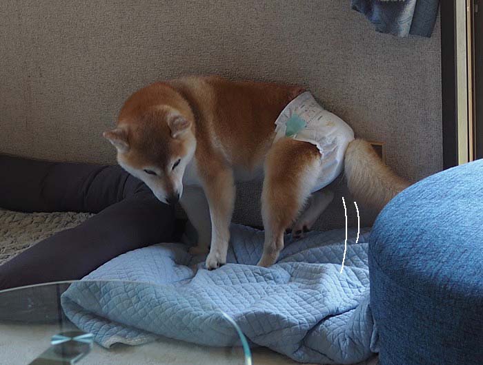 21日午前ブログ1