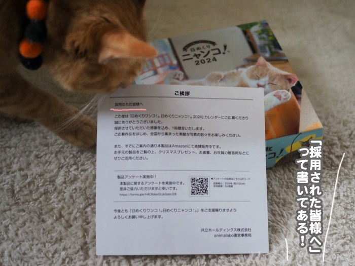 10日ブログ３