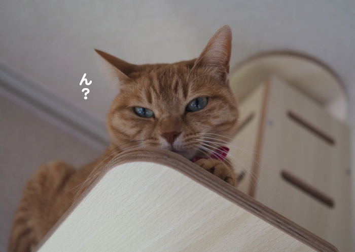 1日夕ブログ７