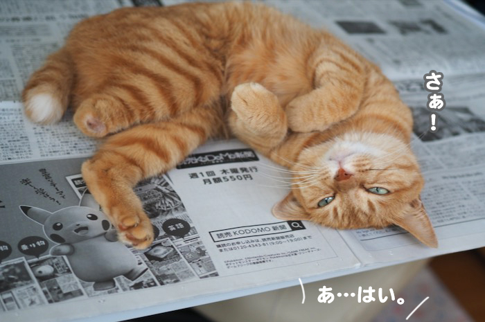 30日ブログ６