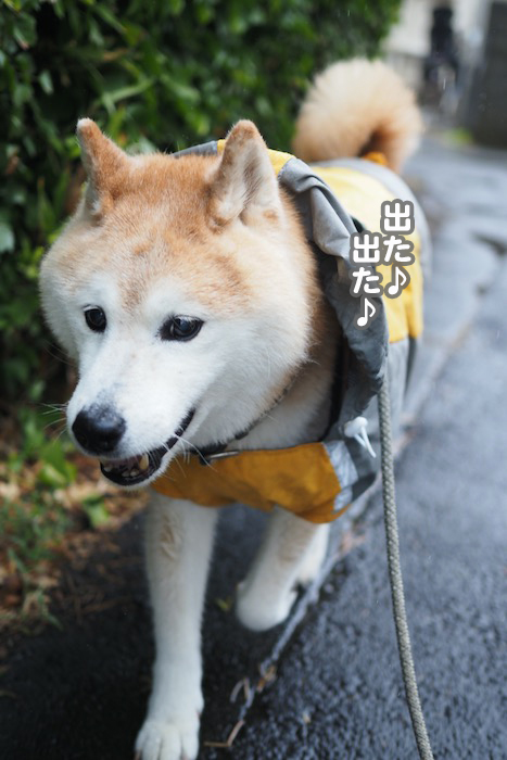 10日夕ブログ３