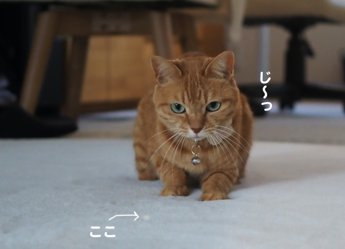 15日夜ブログ３