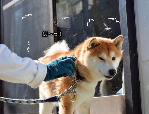 26日ブログ12.jpg