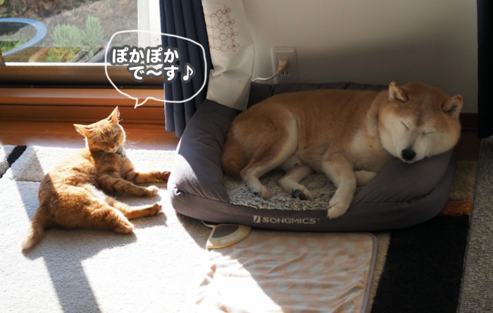 4日ブログ２