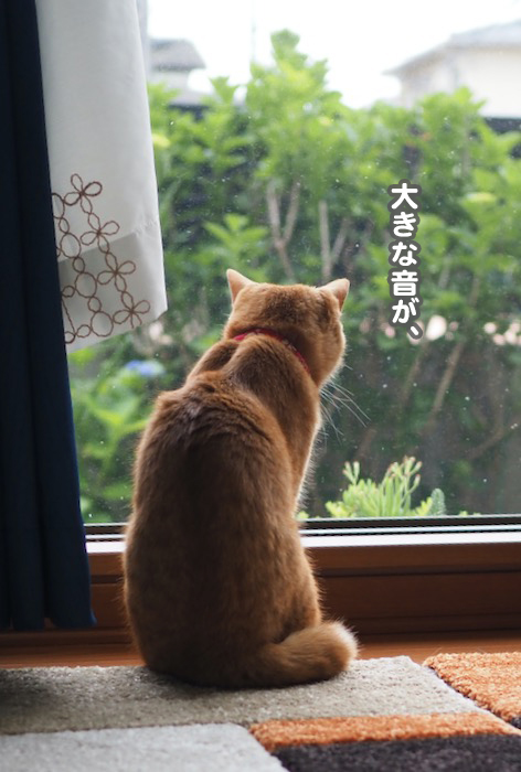 27日ブログ３