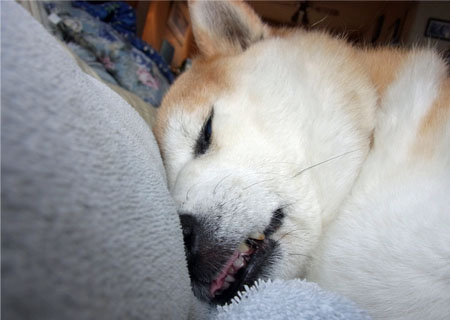 17日ブログ10.jpg