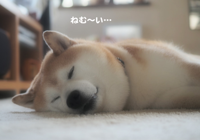 15日夕ブログ３
