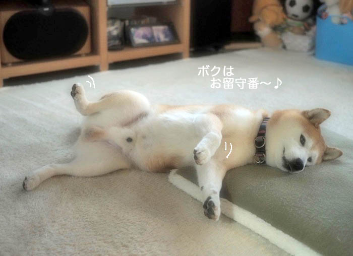 8日ブログ１９