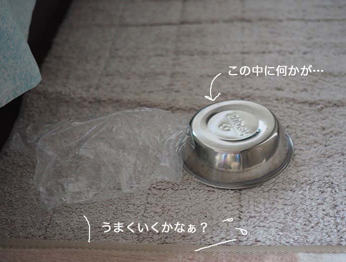 9日ブログ3