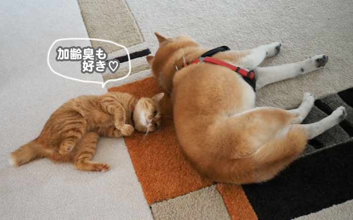 6日ブログ８