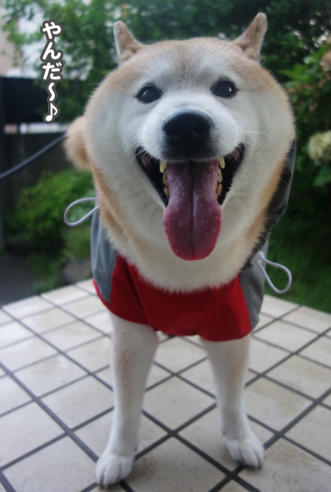 20日ブログ３