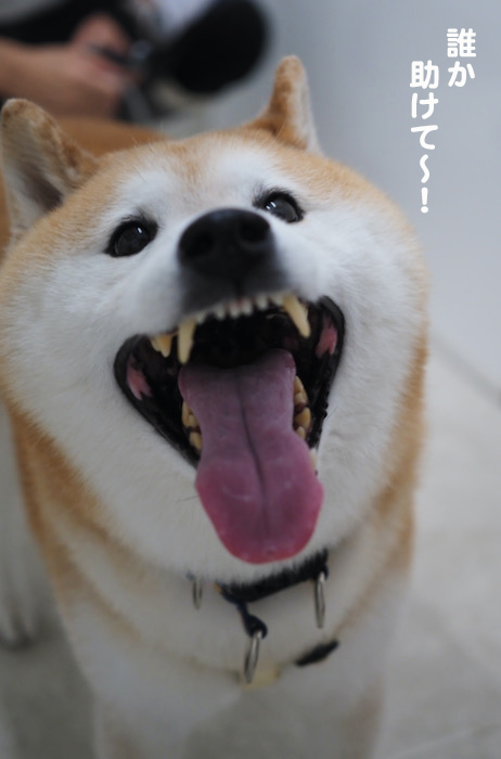 7日ブログ１１