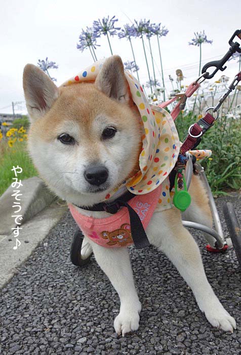 24日午後ブログ１１