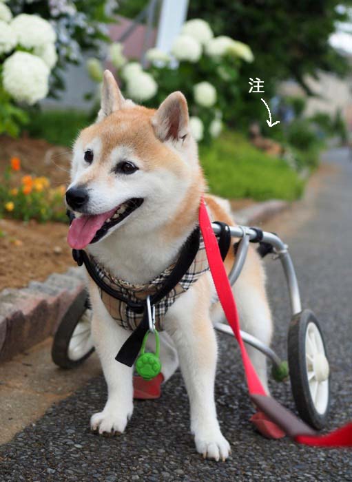 16日ブログ５