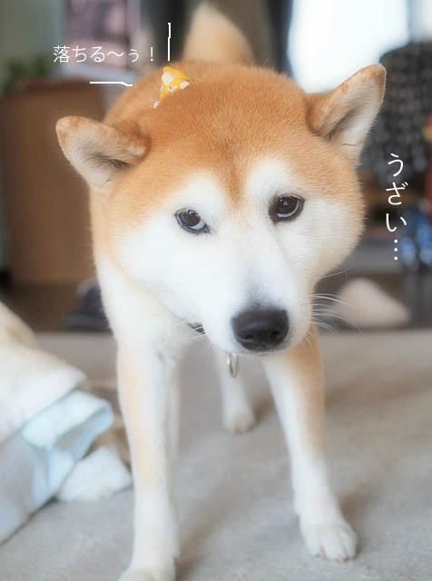 22日ブログ7
