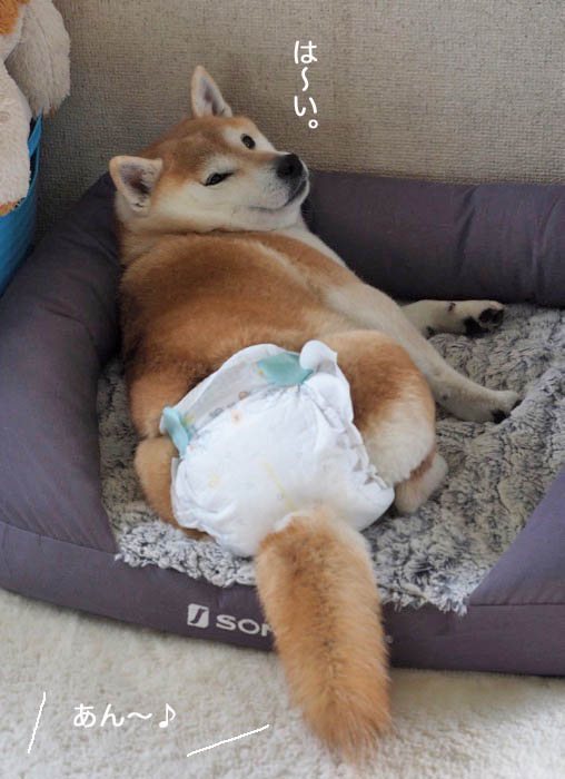 20日夜ブログ１