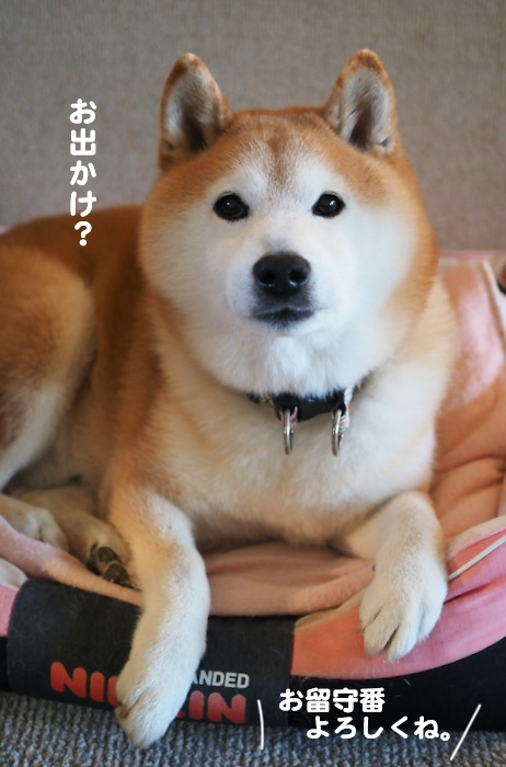 15日夕ブログ９