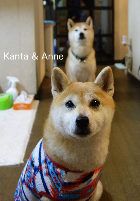 23日朝ブログ3