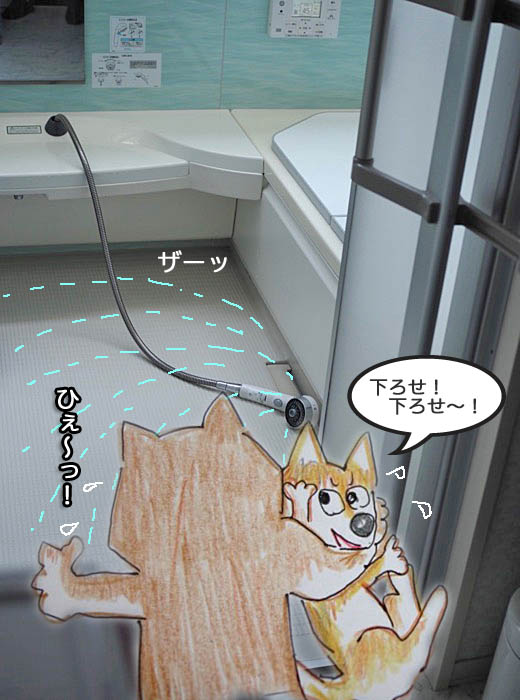 17日夜ブログ５