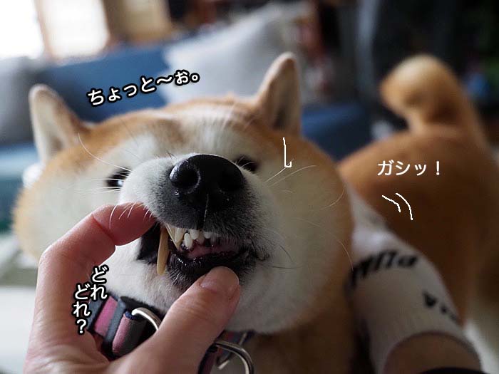 16日ブログ４