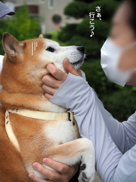 23日ブログ５