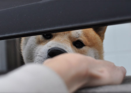 18日ブログ１３.jpg