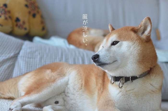 26日ブログ3