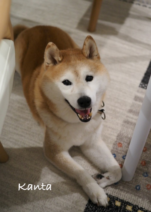 16日ブログ１
