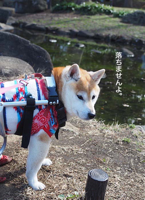 28日ブログ３