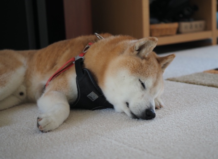 14日ブログ２