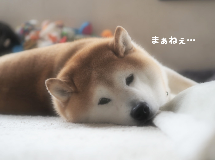 2日ブログ２