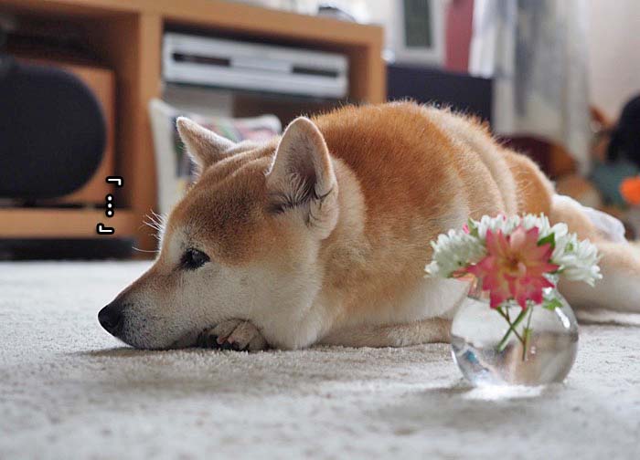 5日夜ブログ５