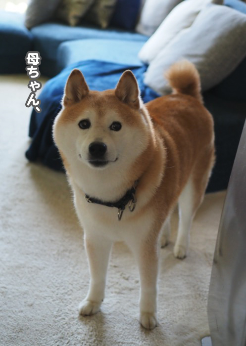 9日ブログ２