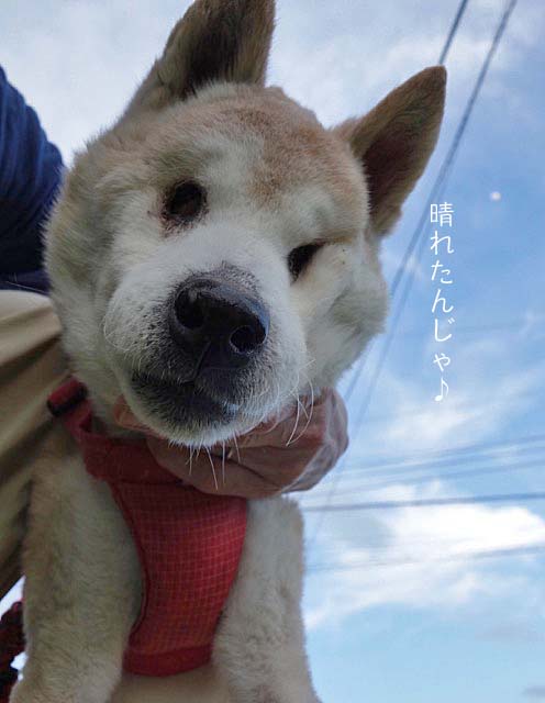 25日午後グログ6