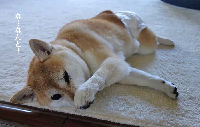 20日午後ブログ１