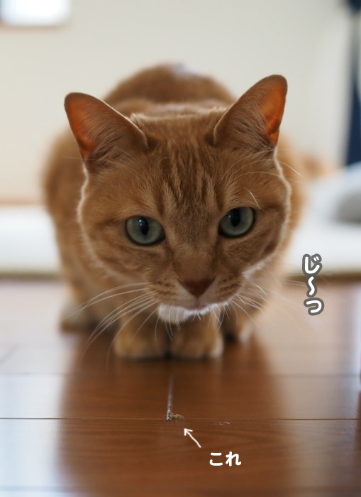 20日夕ブログ２