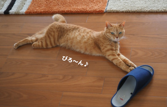24日ブログ３