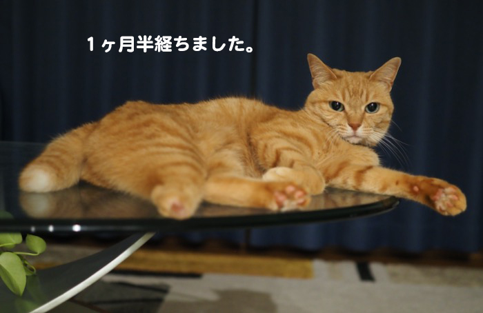 25日夕ブログ５