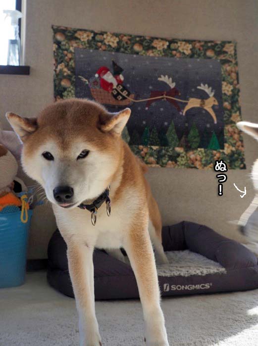 6日夜ブログ１０