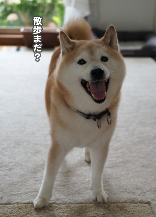 7日ブログ３