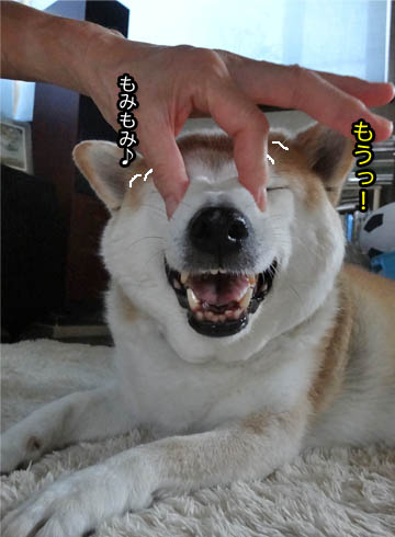 22日ブログ14.jpg