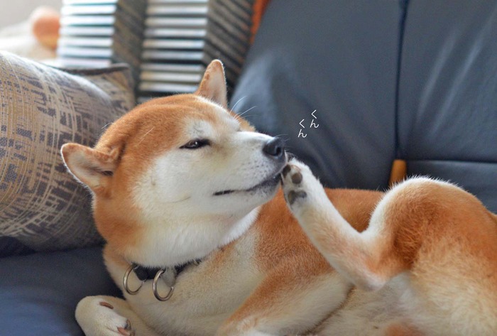 12日ブログ2