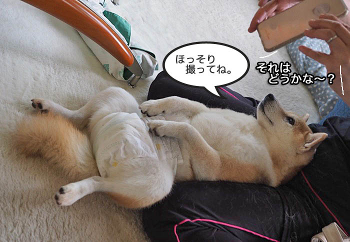 9日夜ブログ９