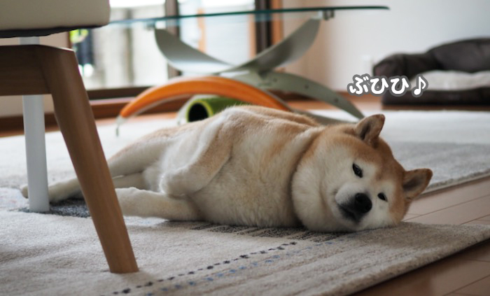 1日夕ブログ3