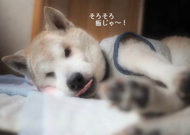 24日ブログ4