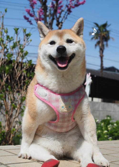 29日ブログ３