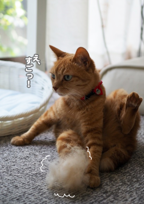 28日夕ブログ７