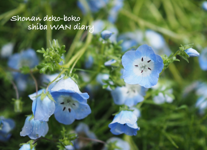 20日ブログ１