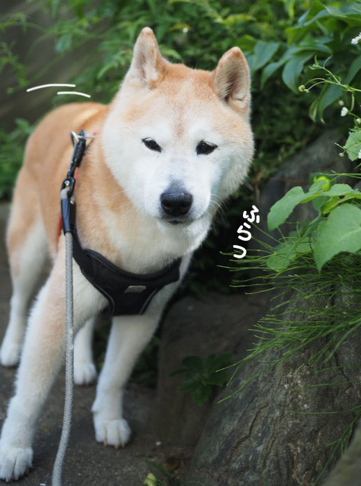 5日ブログ2